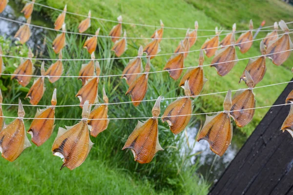 Fish hanging to dry — Stock Photo, Image