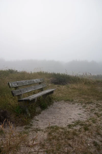 张木凳上雾林 图库图片