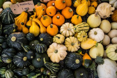 sebze ve kabaklar kapat