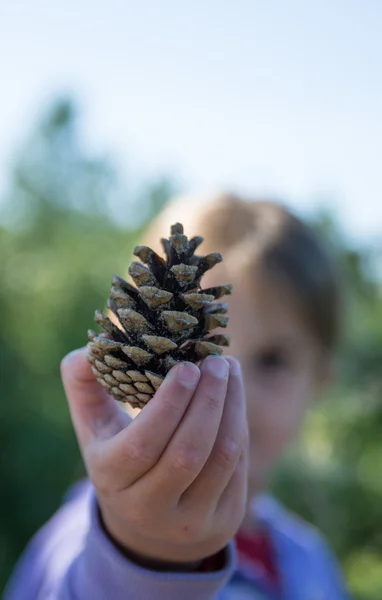 çam kozalağı sonbaharda tutan kız