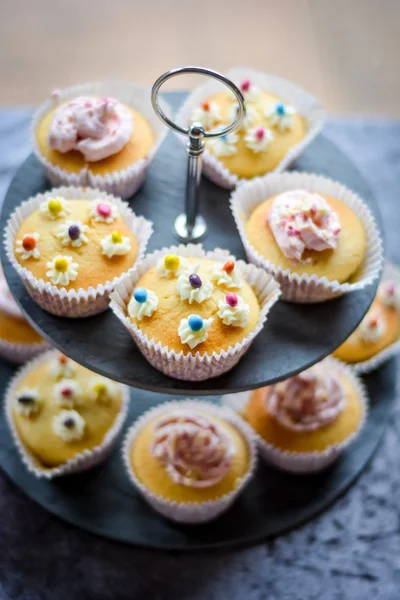 Cake and cupcakes — Stock Photo, Image