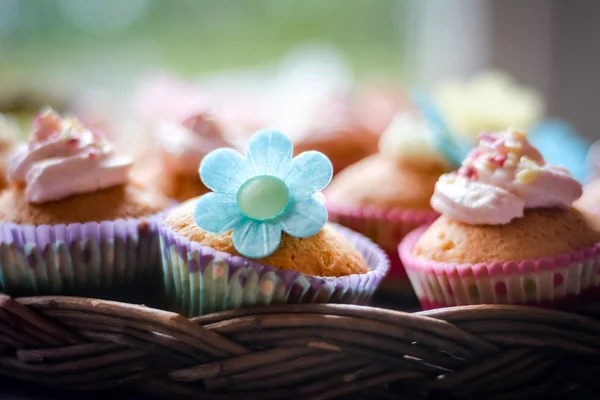 Tårta och cupcakes Stockfoto