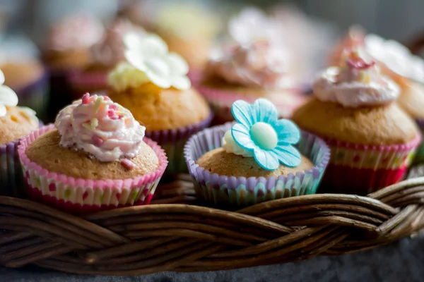 Tårta och cupcakes — Stockfoto