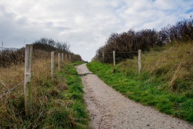 sonbaharda orman yolundan