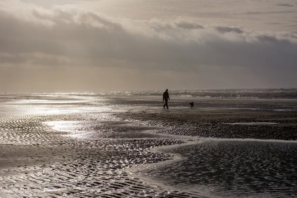 Person Gassi gehender Hund an stürmischem Tag am Strand — Stockfoto