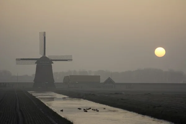 日の出の風車の霧深い冬の朝 — ストック写真