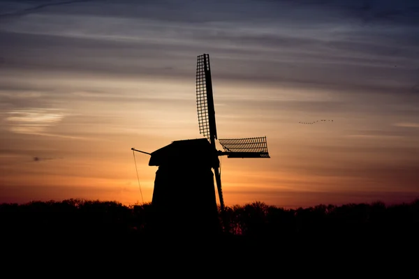 Hinterleuchtete holländische Windmühle bei Sonnenaufgang — Stockfoto