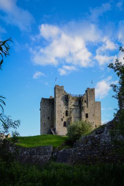 Trim castle in Ireland clipart