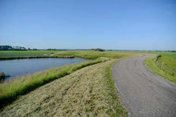Paysage néerlandais avec digue et prairie — Photo