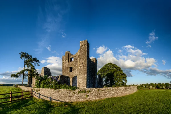 Bective abbey İrlanda