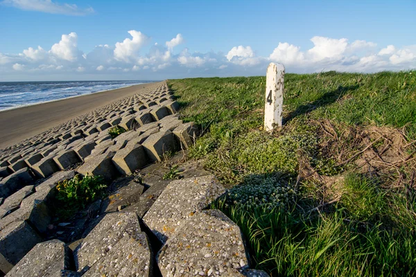 Fortification de digue sur la côte néerlandaise — Photo