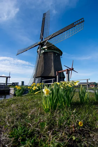 Alte Windmühle vor blauem Himmel — Stockfoto