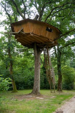 büyük ağaç kulübe ağacında 