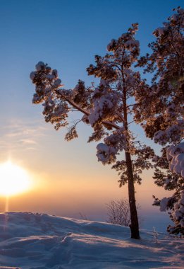 Donmuş bir gölün kıyısındaki karla kaplı ağaçlar mavi bir gökyüzünün ve batan güneşin arkaplanına karşı