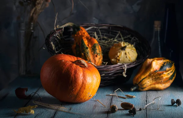 Orangener Kürbis Und Weidenkorb Auf Blauem Holztisch — Stockfoto