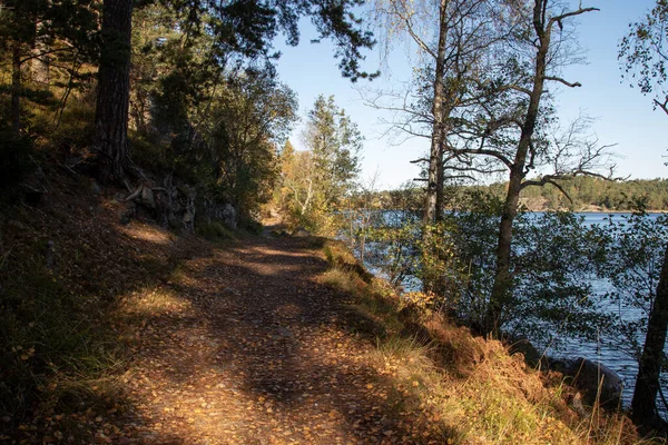 Wanderweg Entlang Des Sees Herbstwald — Stockfoto