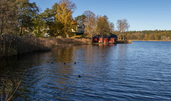 Holzhäuser Zugewachsenen Seeufer Einem Sonnigen Herbsttag — Stockfoto