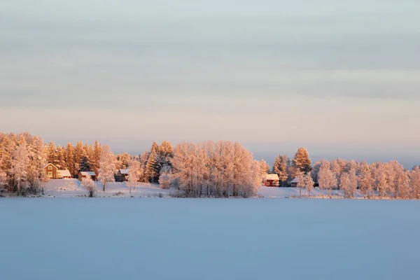 Röda Hus Och Snötäckta Träd Upplysta Morgonsolen Stranden Frusen Sjö — Stockfoto