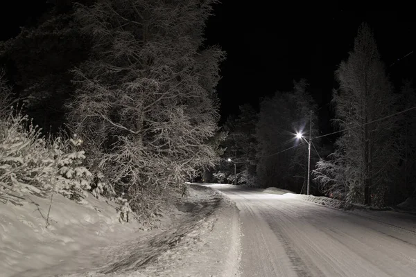 Vinter Natt Väg Och Gatubelysning — Stockfoto