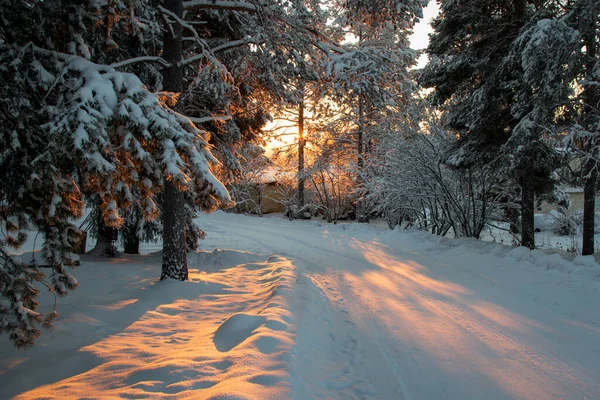 雪に覆われた村の通りは 霜の多い冬の朝の太陽に照らされています — ストック写真