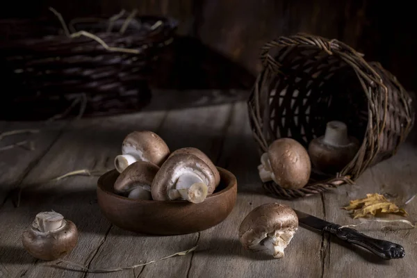 乡村餐桌上的森林蘑菇 — 图库照片