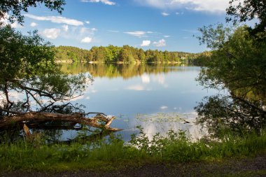 Kıyıdan göle ve mavi gökyüzüne bir yaz günü bak.