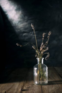 Arka planda kuru lavanta dalları olan cam şişe.