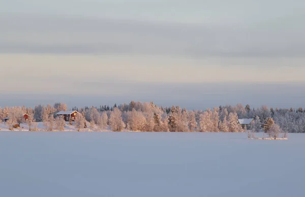 Solbelysta Träd Och Trähus Stranden Frusen Sjö — Stockfoto