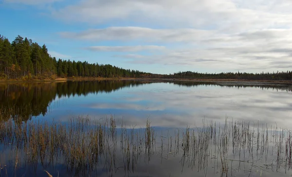 Północna Szwecja Nad Jeziorem Pod Chmurnym Niebem Jesienny Dzień — Zdjęcie stockowe