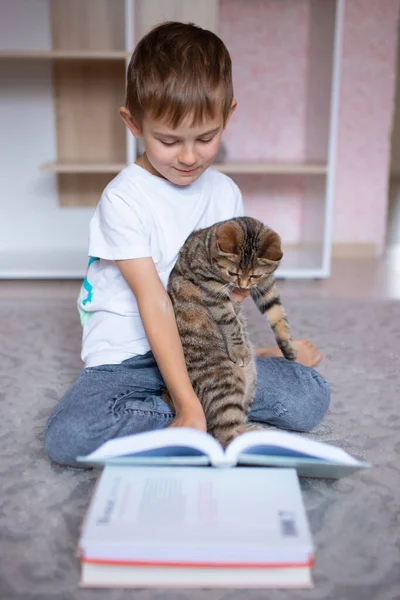 Kedisiyle kitap okuyan sevimli küçük bir çocuk. Evde eğitim. Mesafe öğrenme. Tatillerde. Coronavirüs salgını sırasında karantina. Kilitlenme