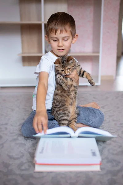 귀여운 소년 이 고양이와 함께 책을 읽고 있습니다. 가정 학습. 거리 학습. - 인질들 이요. 코로나 바이러스가 창궐하는 동안 격리 구역입니다. 락다운 — 스톡 사진