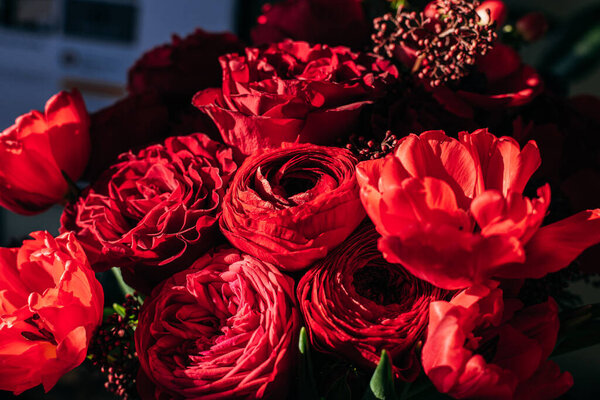 Bright Red Flowers Bouquet Dark Background Royalty Free Stock Photos