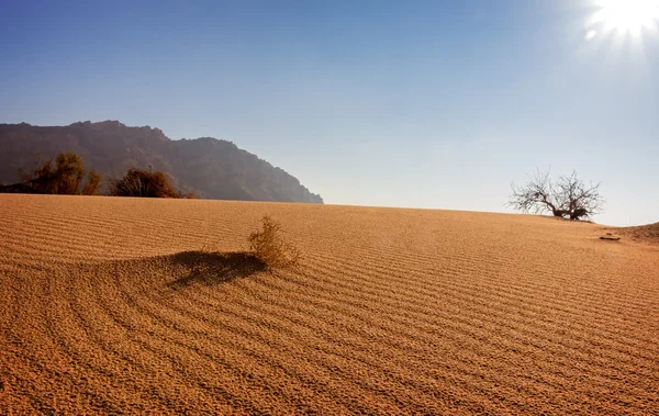 Ondulations dans le sable du désert — Photo