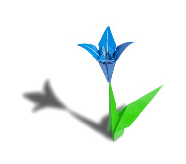 beyaz izole mavi origami çiçek lily