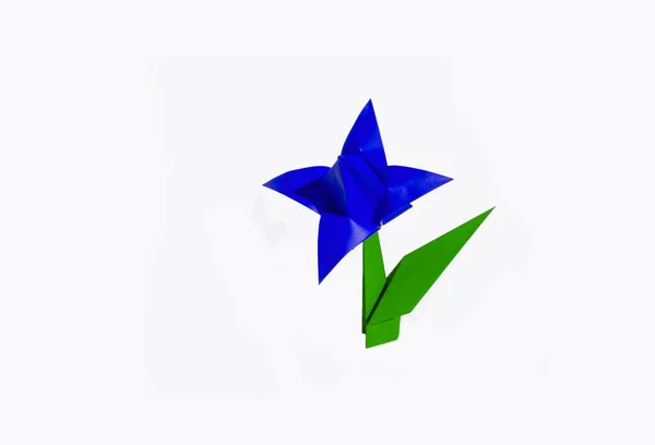 Origami fiore blu, tulipano, isolato su bianco — Foto Stock