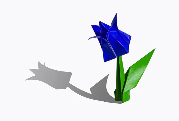 蓝色的折纸花，郁金香，孤立的白色衬底上 — 图库照片