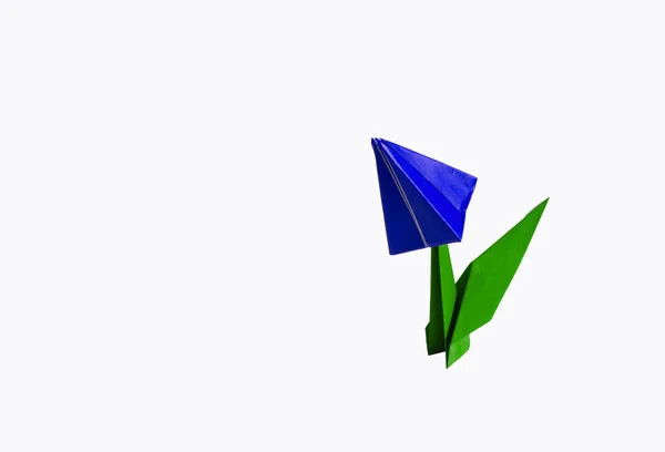 Origami Blauwe bloem, tulp, geïsoleerd op wit — Stockfoto