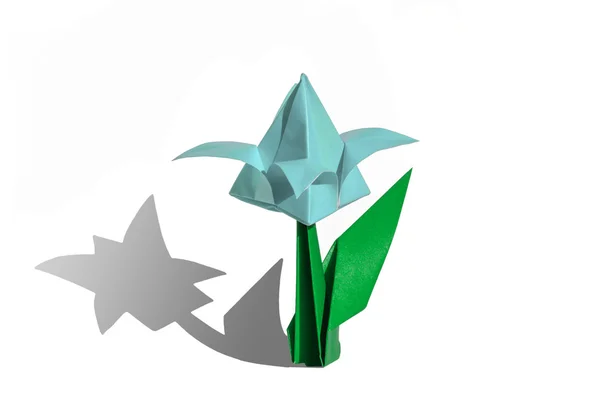 Camgöbeği origami çiçek, Lale, üzerinde beyaz izole — Stok fotoğraf