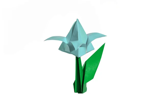 Origami fleur de cyan, tulipe, isolé sur blanc — Photo
