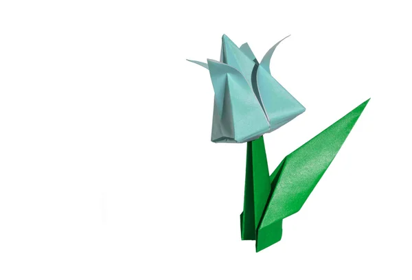 Origami flor de cian, tulipán, aislado en blanco —  Fotos de Stock