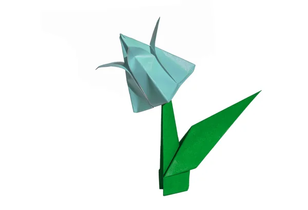 Origami cyan blomma, tulpan, isolerad på vit — Stockfoto