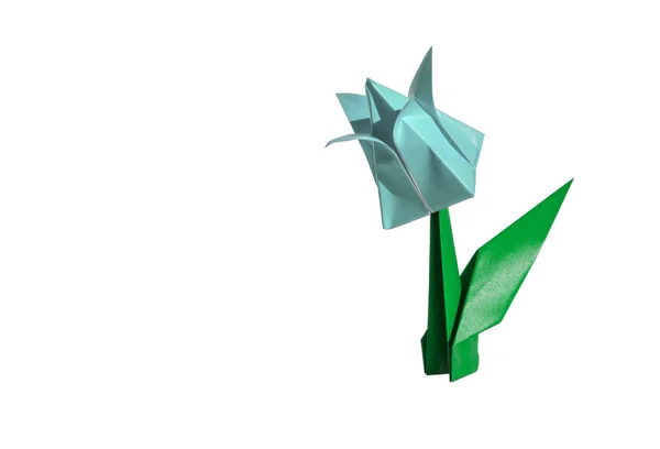 Kwiat origami cyjan, Tulipan, na białym tle — Zdjęcie stockowe