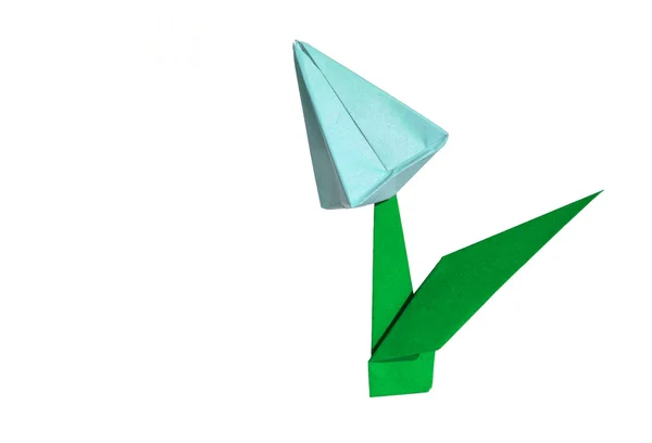 Origami cyan blomma, tulpan, isolerad på vit — Stockfoto