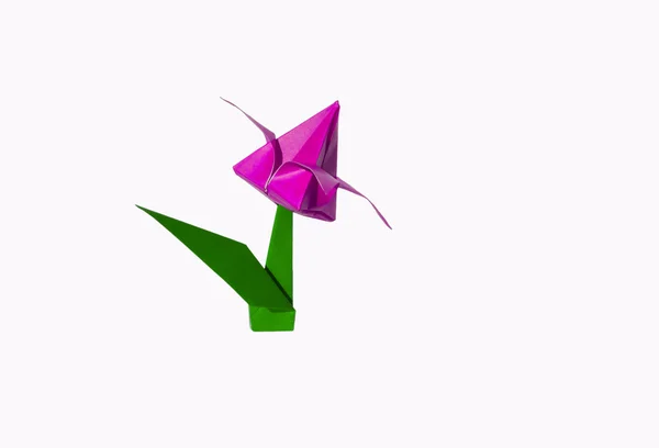 Origami růžový květ, tulipán, izolované na bílém — Stock fotografie