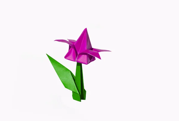 Origami flor rosa, tulipán, aislado en blanco — Foto de Stock
