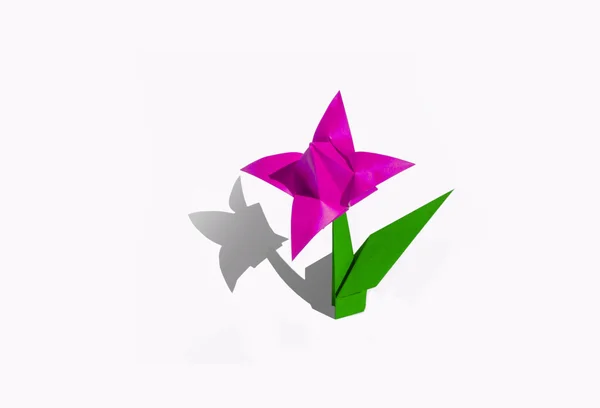 Origami flor rosa, tulipa, isolado em branco — Fotografia de Stock
