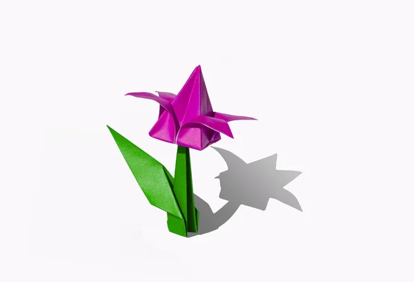 Origami fiore rosa, tulipano, isolato su bianco — Foto Stock