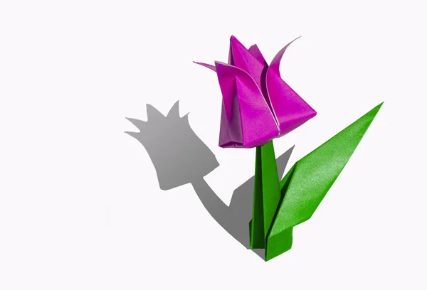 Origami fiore rosa, tulipano, isolato su bianco — Foto Stock