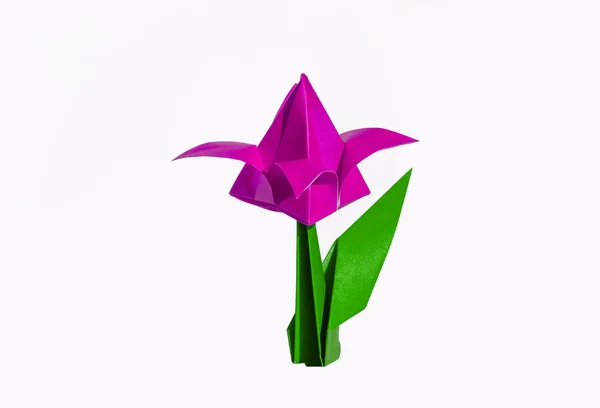 Origami rosa blomma, tulpan, isolerad på vit — Stockfoto