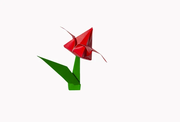 Origami red flower, tulip, isolated on white — Stock Photo, Image